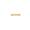 Iver Cabinet Pull Helsinki Brushed Gold PVD CTC160mm With Backplate