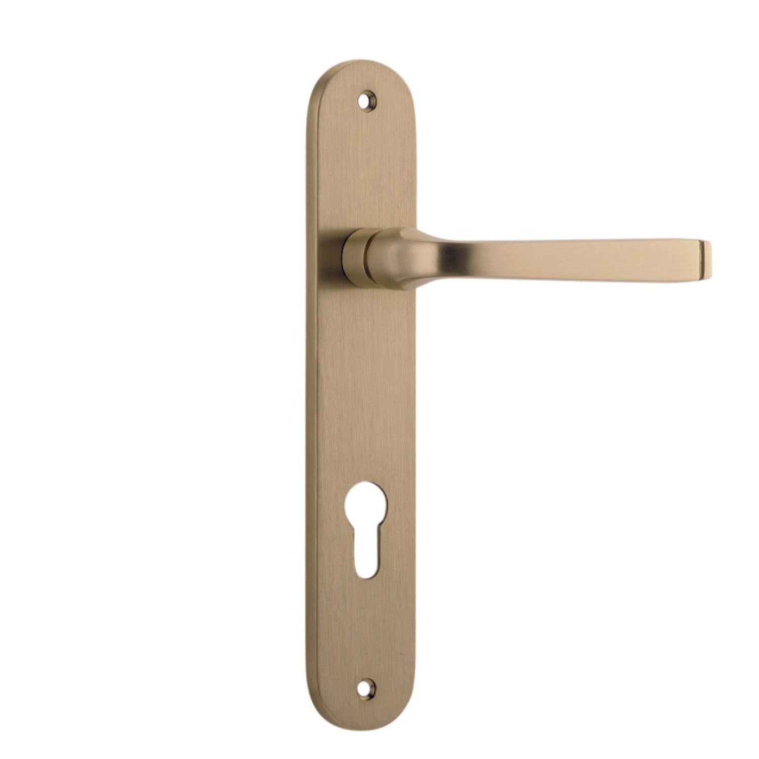 Iver Door Handle Annecy Oval Euro Pair Brushed Brass