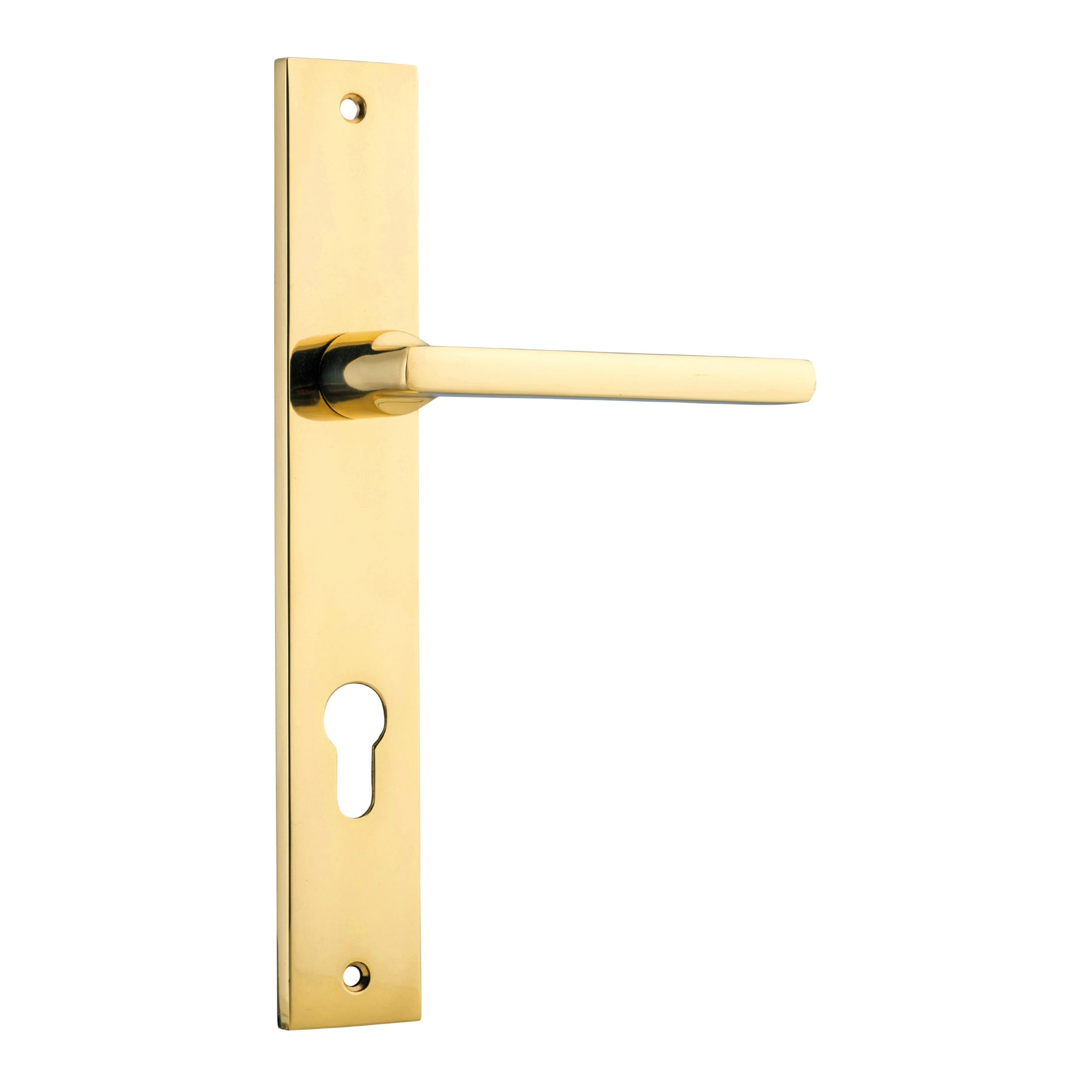 Iver Door Handle Baltimore Rectangular Euro Pair Polished Brass