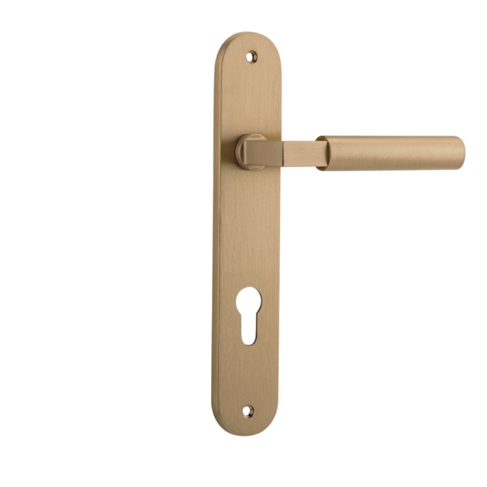 Iver Door Handle Berlin Oval Euro Brushed Brass