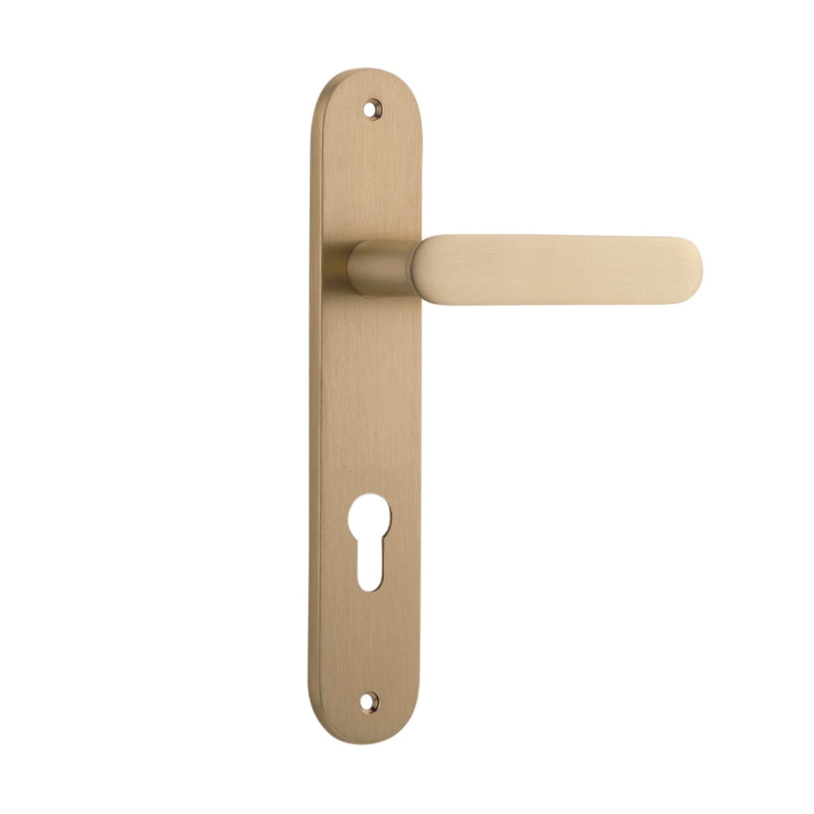 Iver Door Handle Bronte Oval Euro Brushed Brass