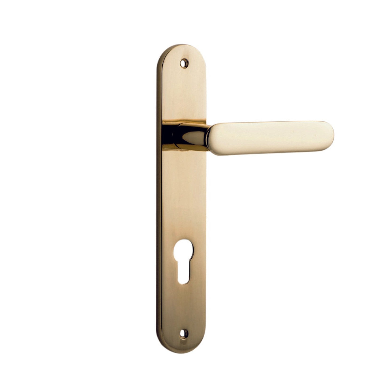 Iver Door Handle Bronte Oval Euro Polished Brass