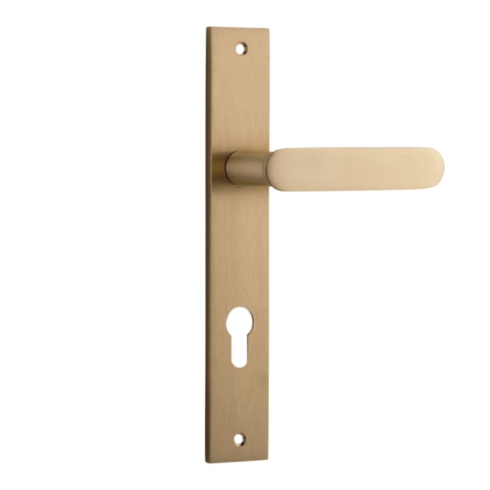 Iver Door Handle Bronte Rectangular Euro Brushed Brass