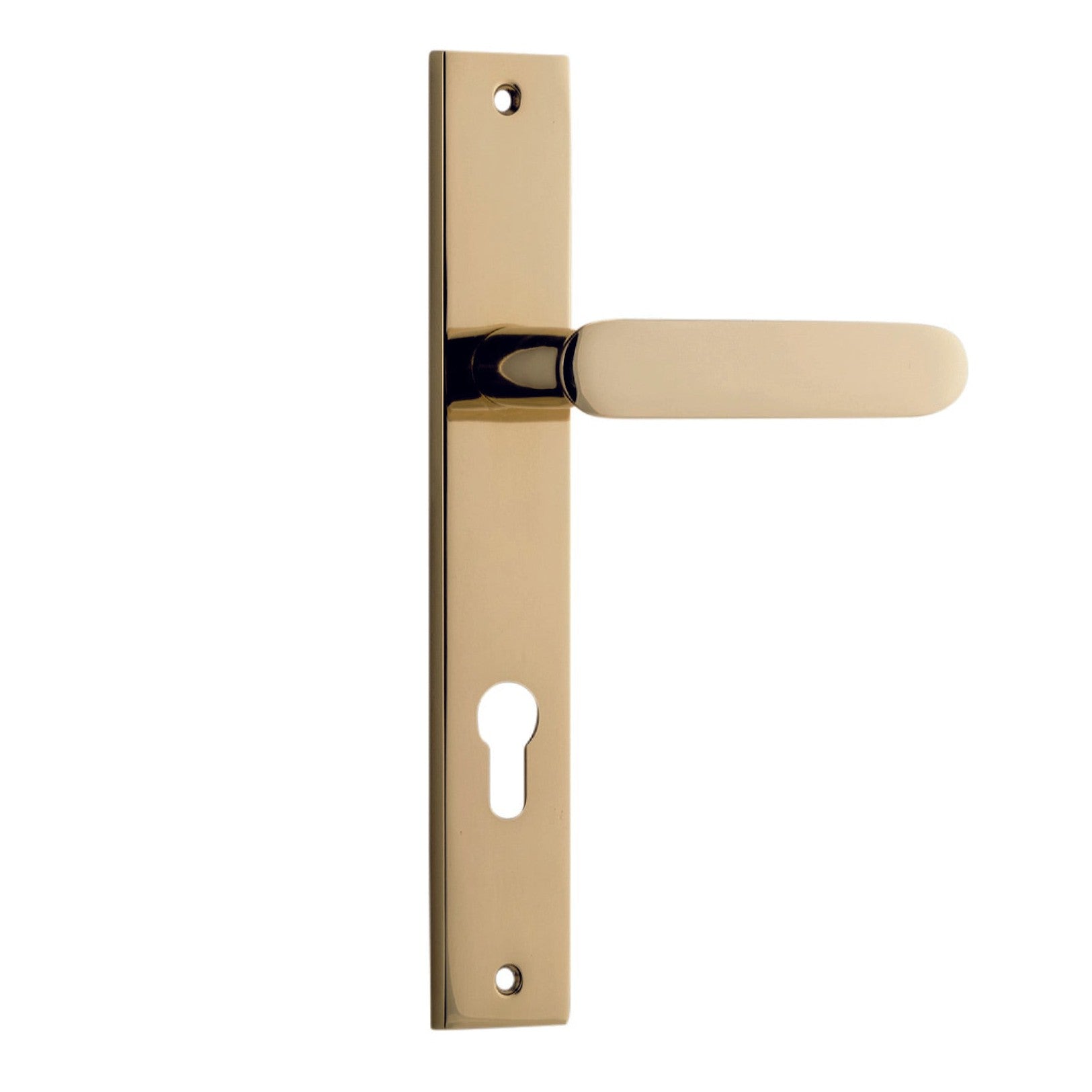 Iver Door Handle Bronte Rectangular Euro Polished Brass