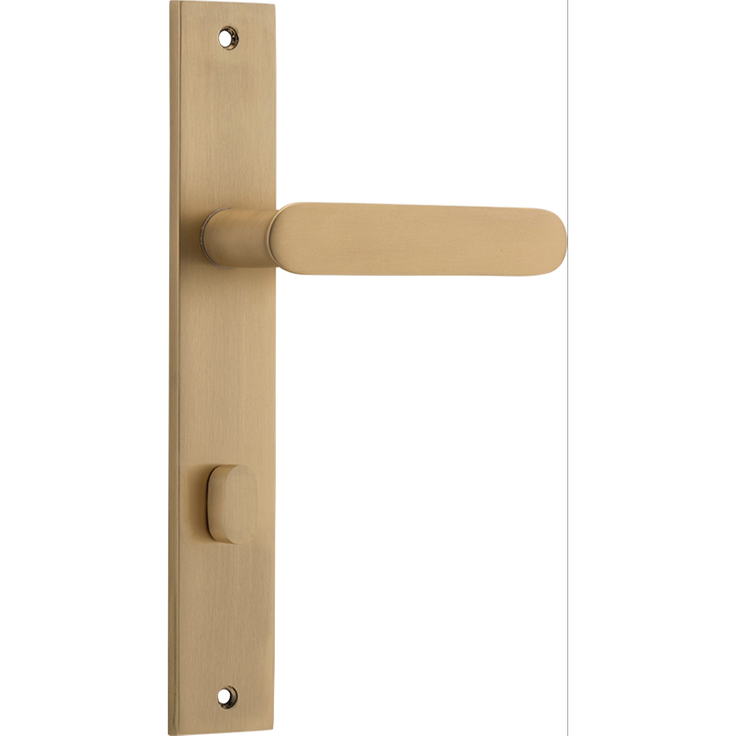 Iver Door Handle Bronte Rectangular Privacy Brushed Brass