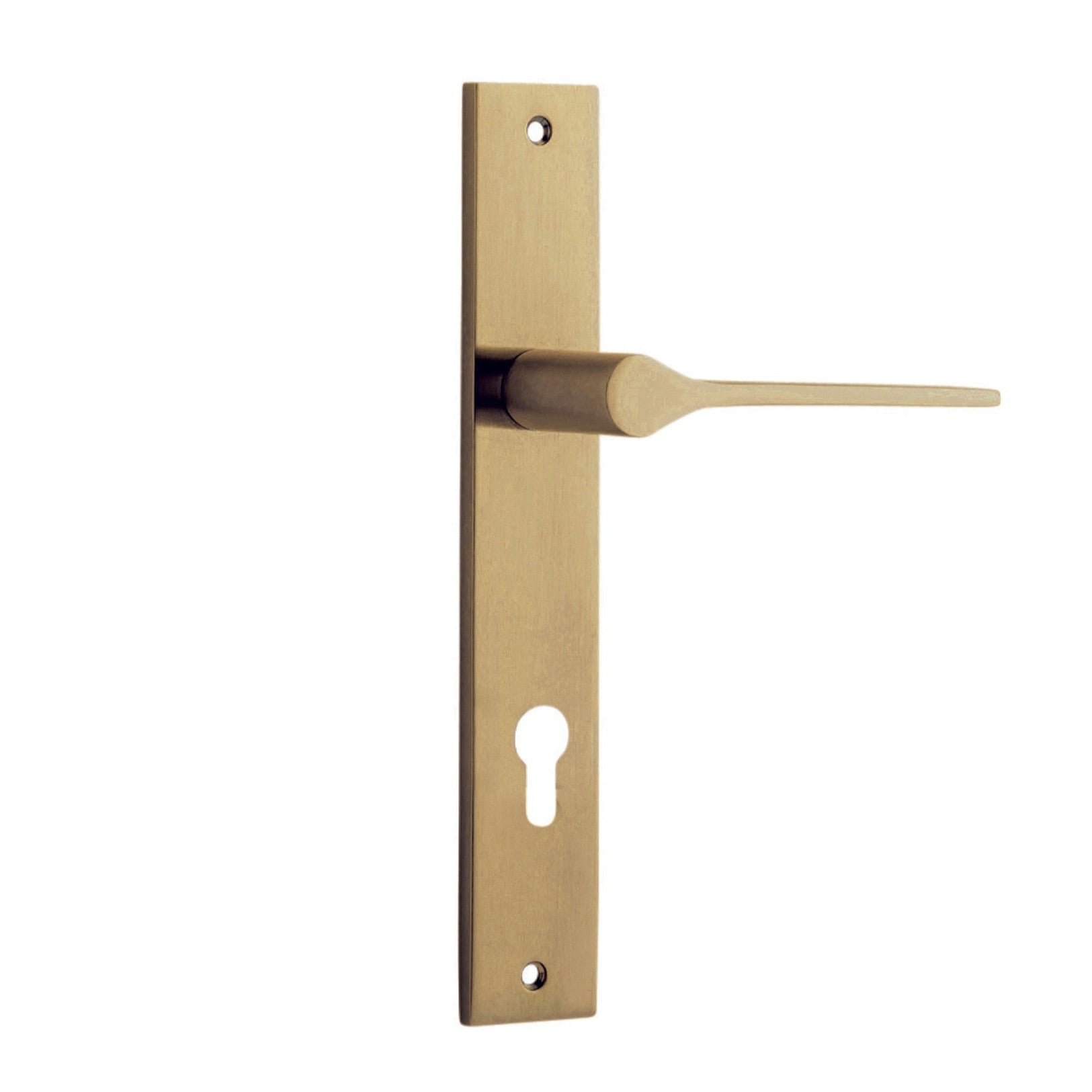 Iver Door Handle Como Rectangular Euro Brushed Brass