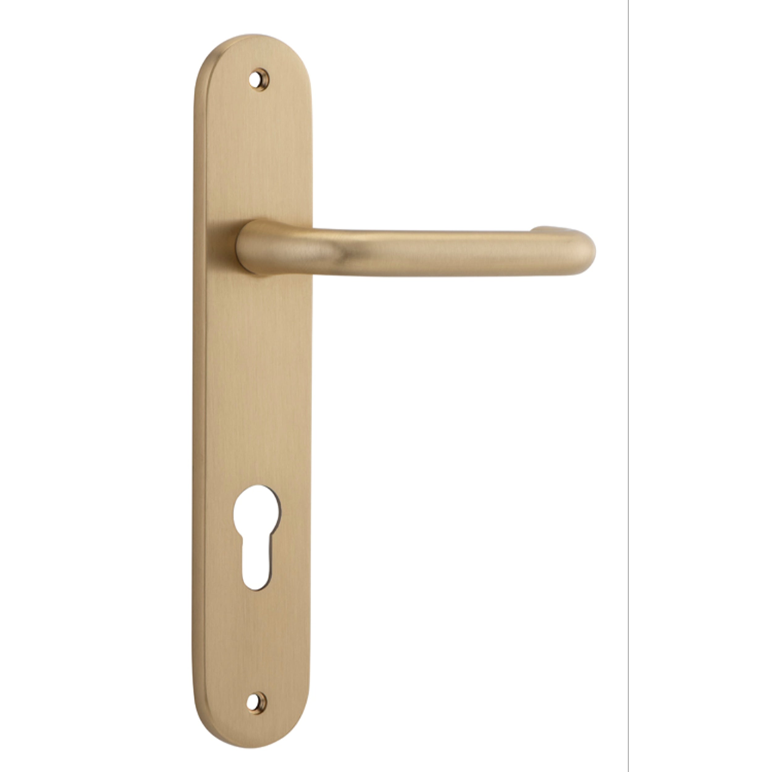 Iver Door Handle Oslo Oval Euro Pair Brushed Brass