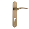 Iver Door Handle Oxford Oval Euro Pair Brushed Brass