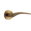 Iver Door Handle Oxford Round Rose Pair Brushed Brass