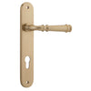 Iver Door Handle Verona Oval Euro Pair Brushed Brass