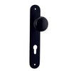 Iver Door Knob Cambridge Oval Euro Pair Matt Black