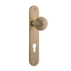 Iver Door Knob Guildford Oval Euro Pair Brushed Brass