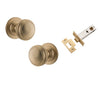 Iver Door Knob Paddington Round Rose Concealed Fix Brushed Brass Passage Kit