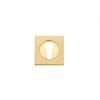 Iver Escutcheon Euro Concealed Fix Square Pair Brushed Brass