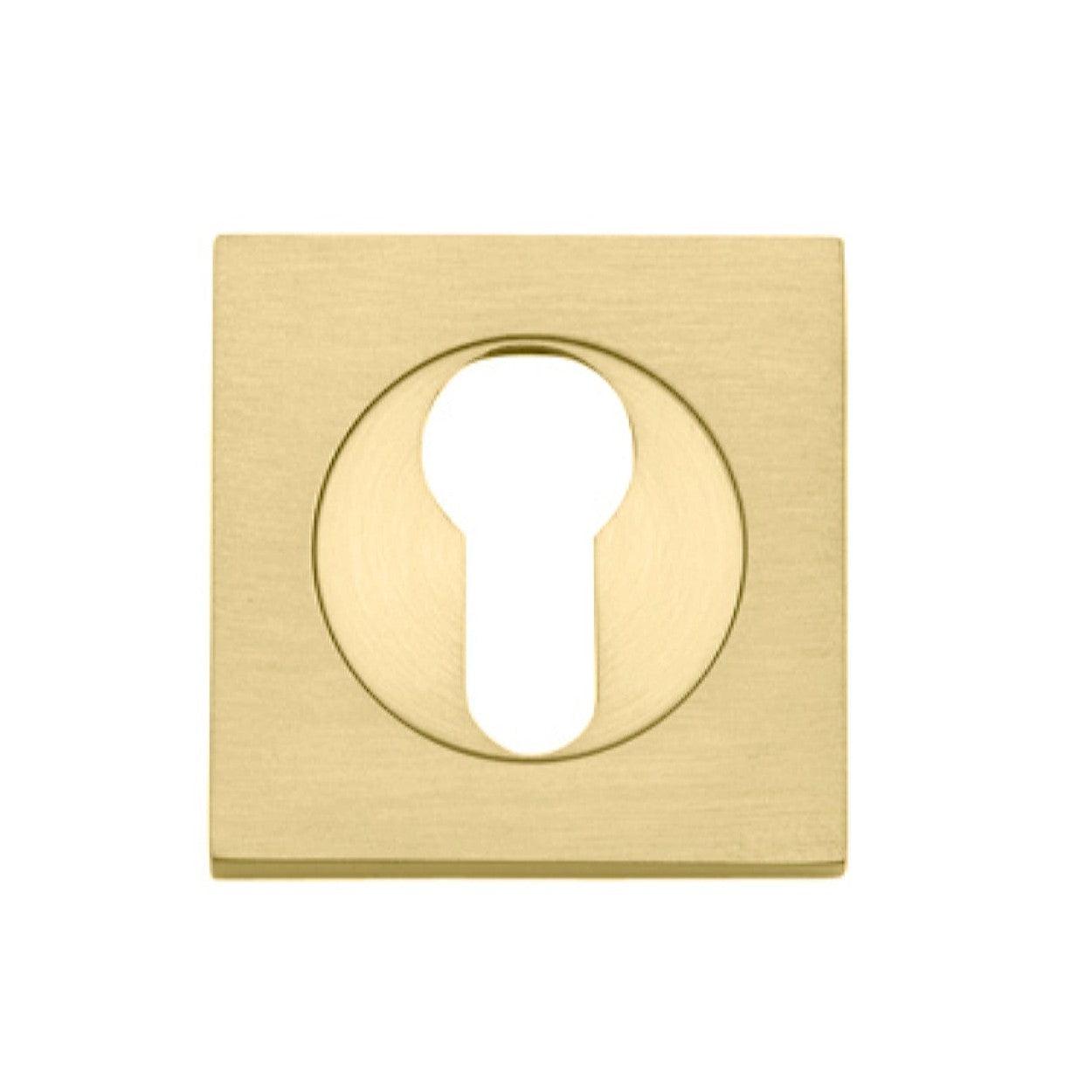 Iver Escutcheon Euro Concealed Fix Square Pair Brushed Gold PVD