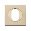 Iver Escutcheon Oval Square Pair Brushed Brass
