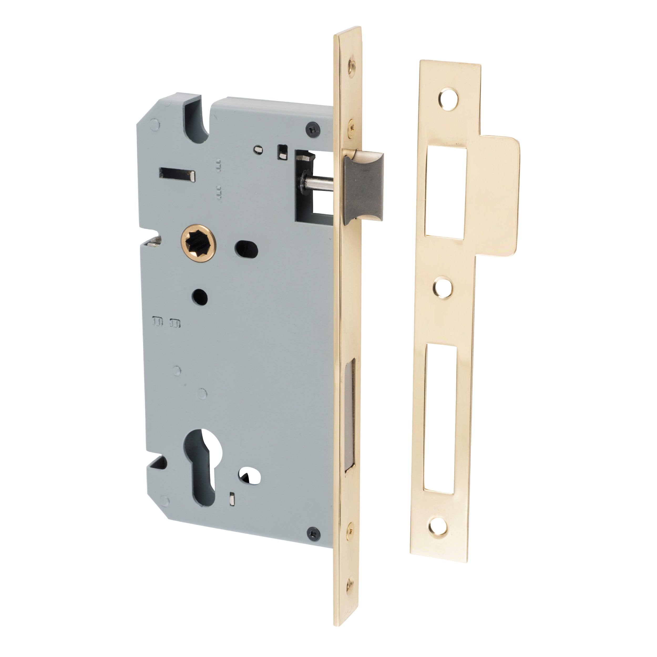 Iver Mortice Lock Euro Polished Brass CTC85mm Backset 60mm